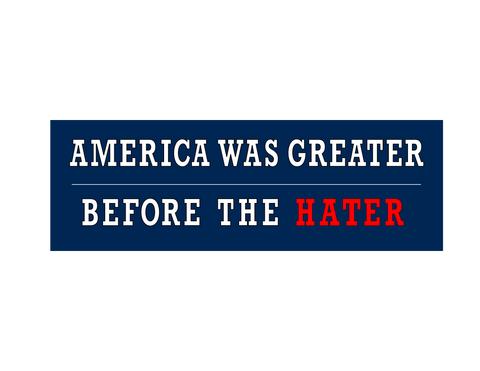 America was Greater Before the Hater - Bumpersticker 9" x 3" vinyl